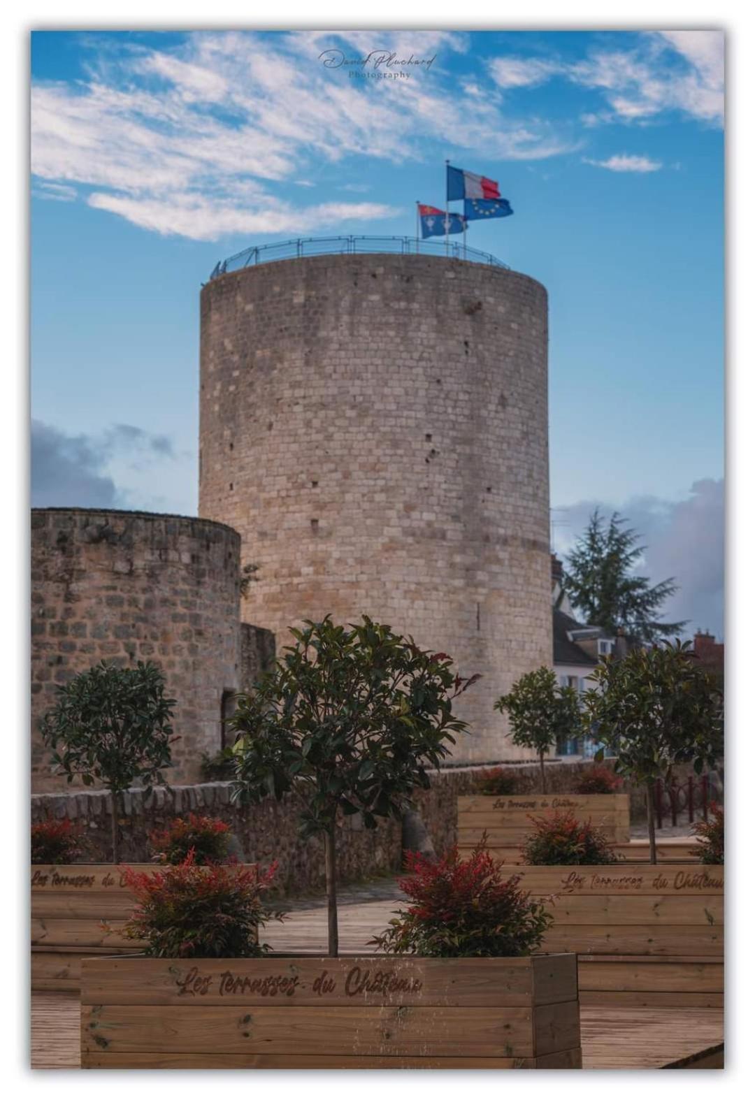 Chambre d'hôte du Château Dourdan Ngoại thất bức ảnh