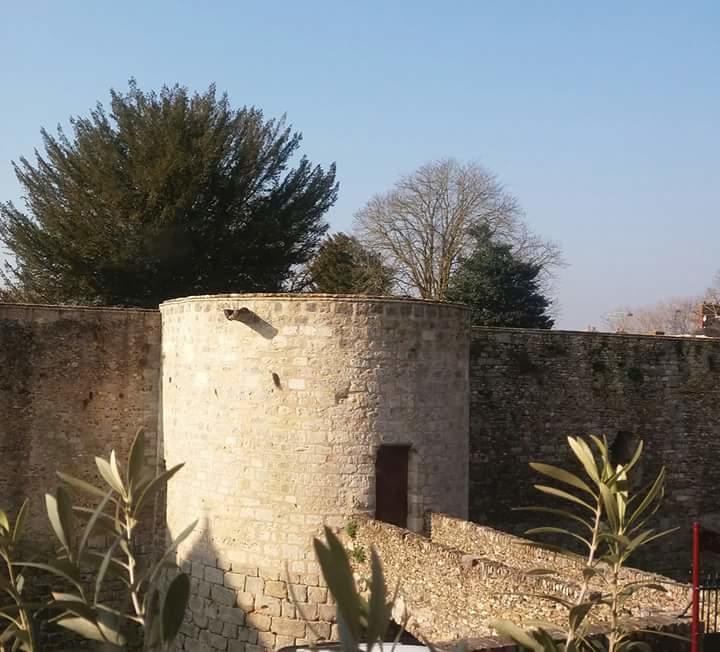 Chambre d'hôte du Château Dourdan Ngoại thất bức ảnh